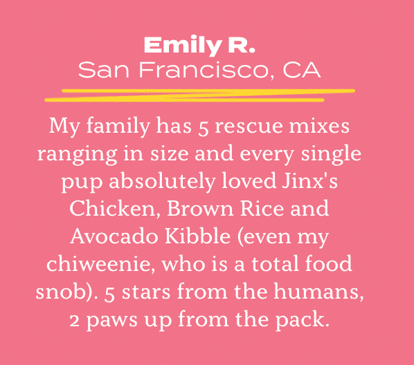 Jinx customer review