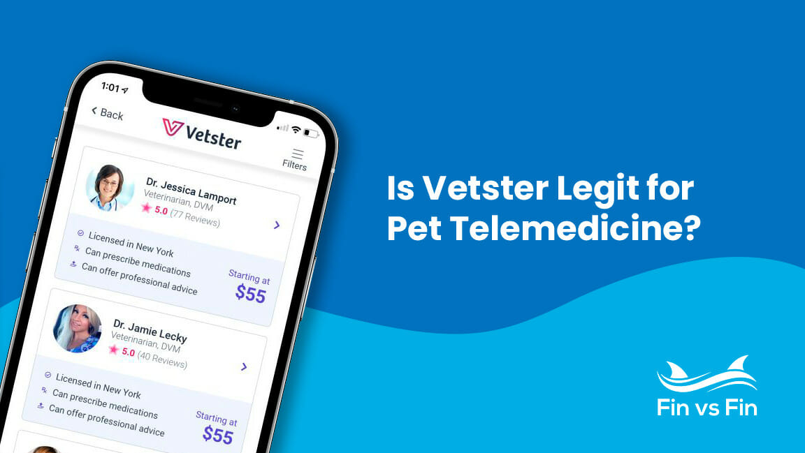 Vetster Review - Is Their Pet Telemedicine Platform Legit?