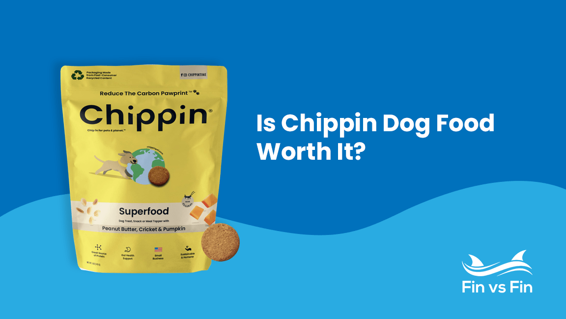 Chippin Review - Are Alternative Proteins Safe for Dogs to Eat?