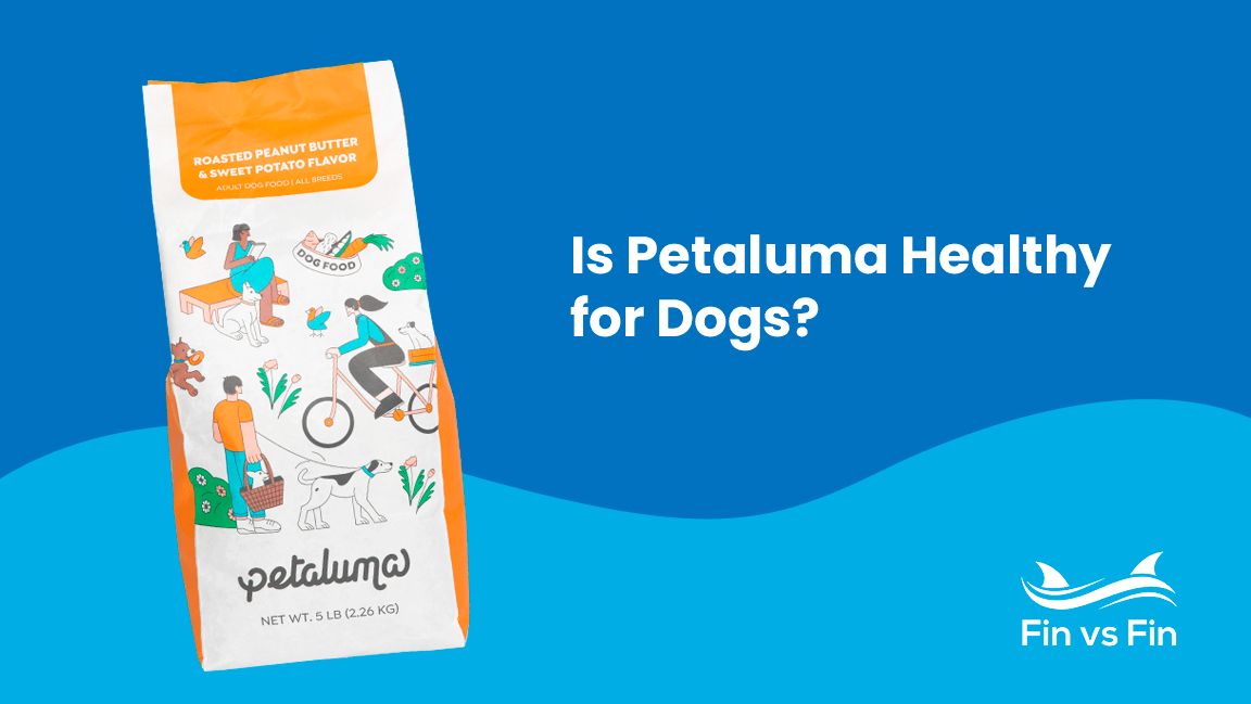 Petaluma Review - Is Their Plant-Based Dog Food Healthy?