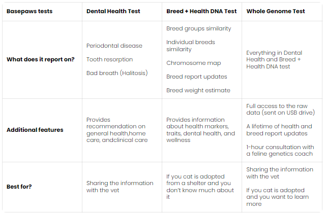 Basepaws Review – Is Their Cat DNA Test Kit Legit?