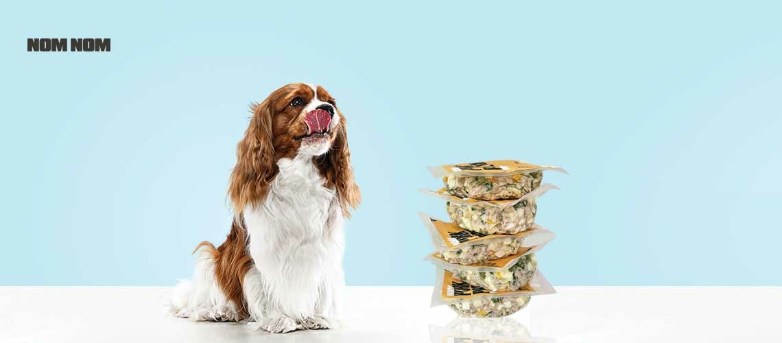 Nom Nom Review - Is Their Fresh Dog Food Worth It? We Found Out.