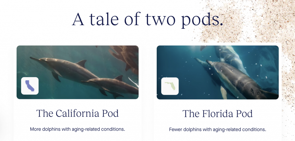 a tale of two pods