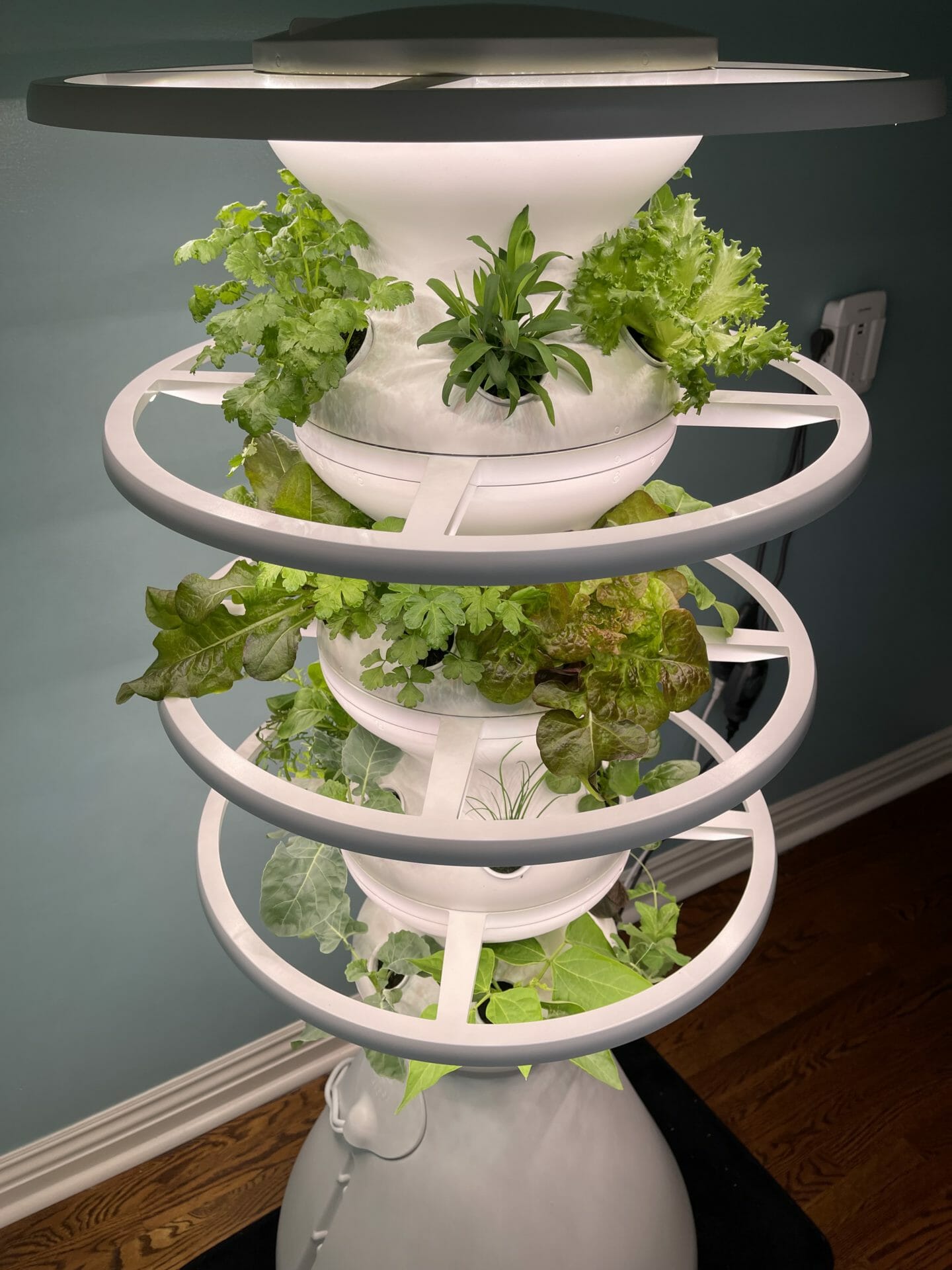Lettuce Grow Farmstand Review - Is It Worth It? Pros, Cons, Alternatives, & More