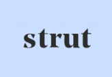 Strut